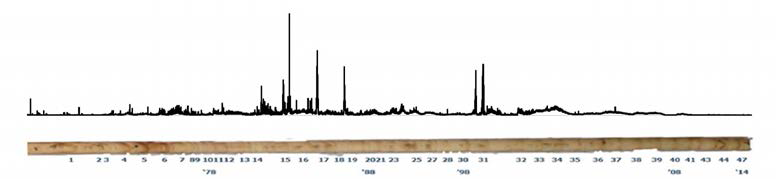 History record in wood core of Platanus sp.