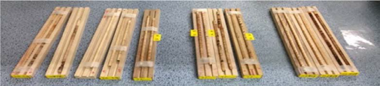 Pre-treatment of wood core.