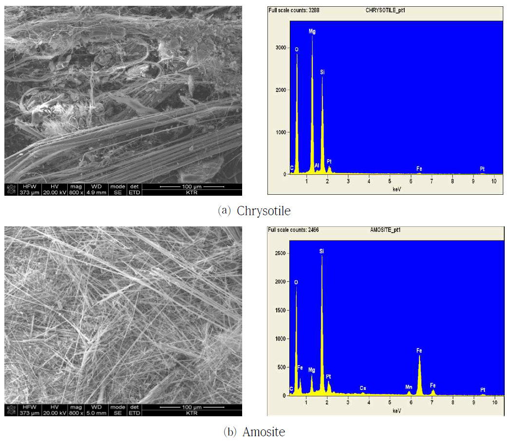 Asbestos image and spectrum by SEM-EDX