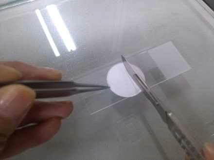 Cutting of sample