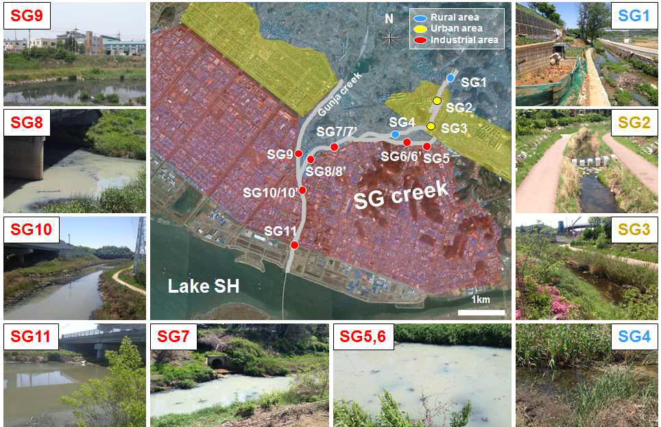 Sampling stations in the SG creek (SG6’, SG7’, SG8’, and SG10’: sewer outlet)