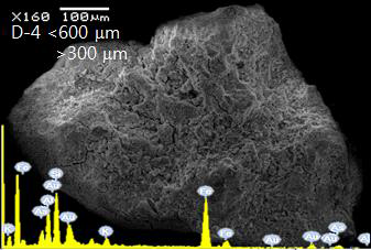 SEM micrograph and EDS spectrum of the surface soil of D4 site