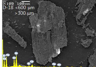 SEM micrograph and EDS spectrum of the surface soil of D18 site