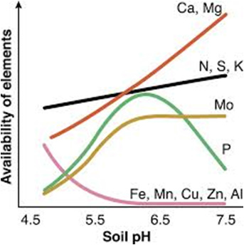 Relationship between soil pH and nutrient availability