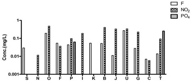 Average concentration of anions near the sources of the contamination.