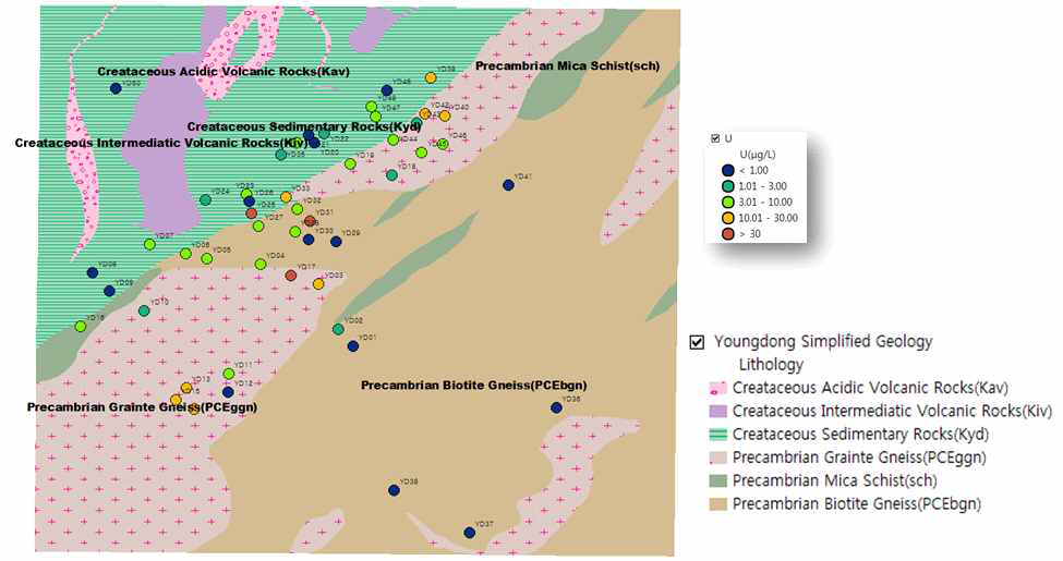 영동지역 일대 지하수의 점형 우라늄 함량분포도