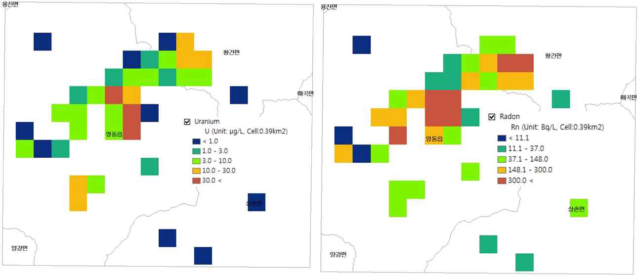 영동지역 지하수의 격자형 우라늄 및 라돈 함량 분포도