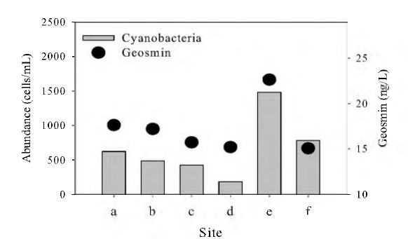 Average of cyanobacteria and geosmin in 6 sites of Lake Uiam (a;Soyang 2bridge, b; Chuncheon MBC front, c; Uiam dam3, d; Chuncheonl, e;Gonqjicheon2, f; Uiam daml).