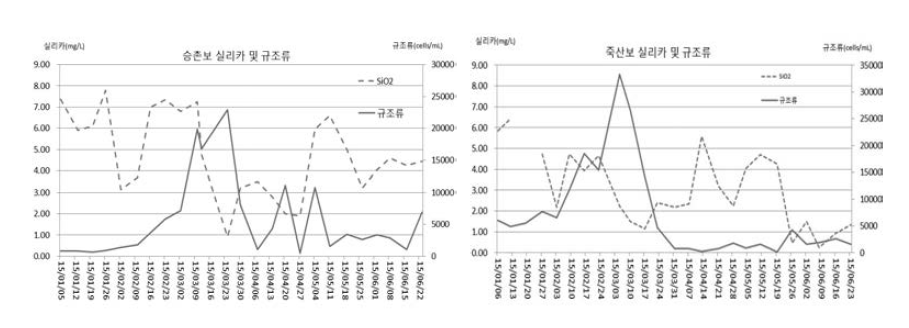 Fluctuation of silca and diatom in weirs of Yeongsan river.