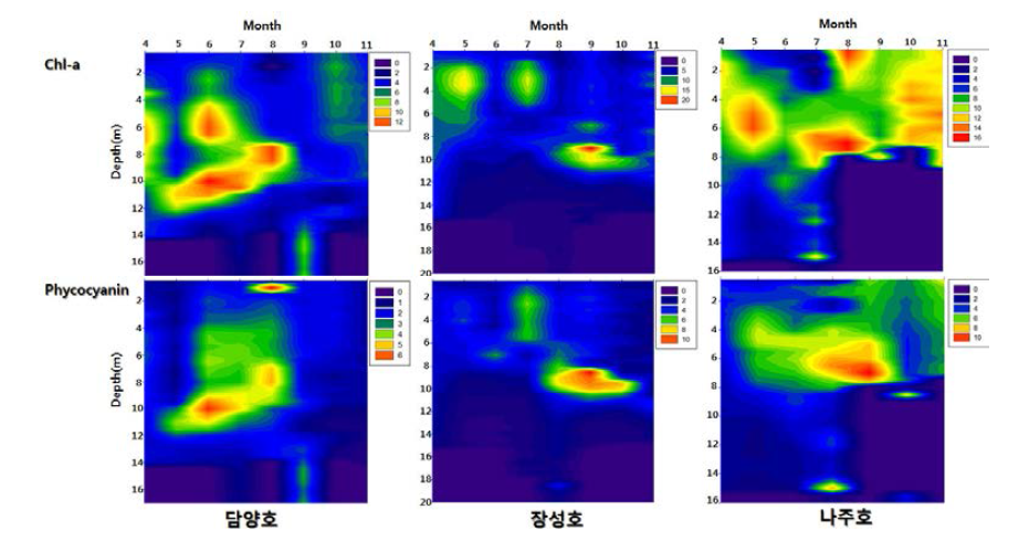 Vertical distribution of algae in agricultural reserviors of Yeongsan river watershed