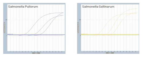 Preliminary experimentation of Salmonella detection.
