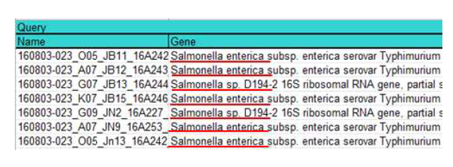 Sequencing results of 16S rRNA of isolated Salmonella.