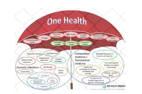 Cooperative activites for ‘One Health’
