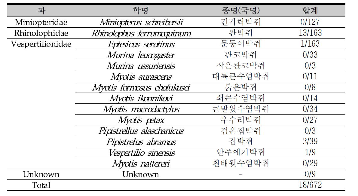 Coronavirus distribution in different bat species