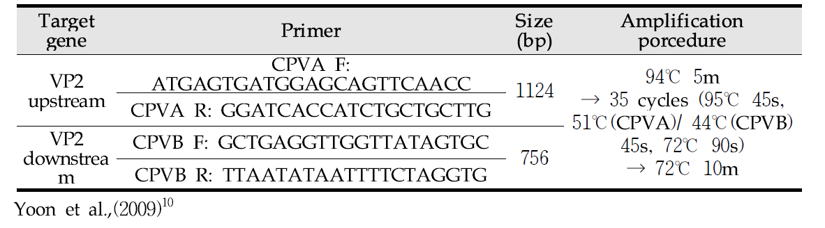 Primer and amplification procedure for parvovirus VP2 complete gene