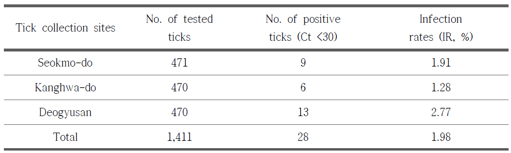 TaqMan RT realtime PCR을 이용한 참진드기에서 SFTSV 검출 결과