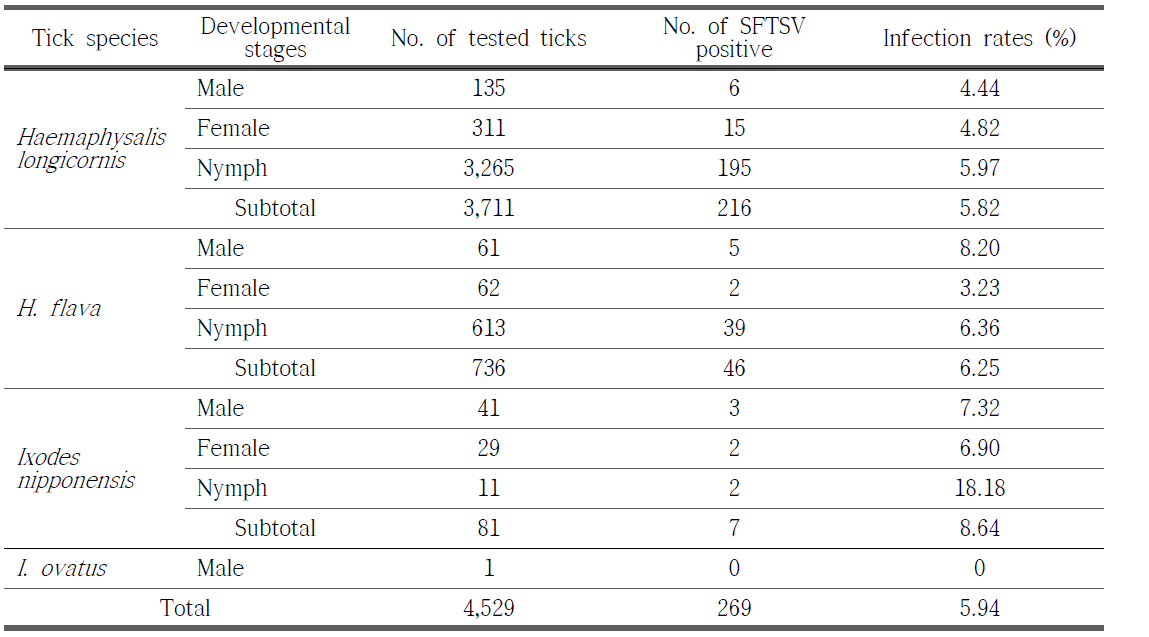 참진드기 종별, 성장단계별 성충과 약충으로부터 SFTSV 검출 결과