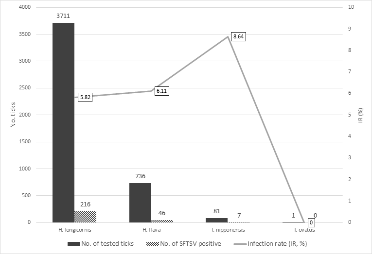 참진드기 성충 및 약충의 종별 SFTSV 감염률.