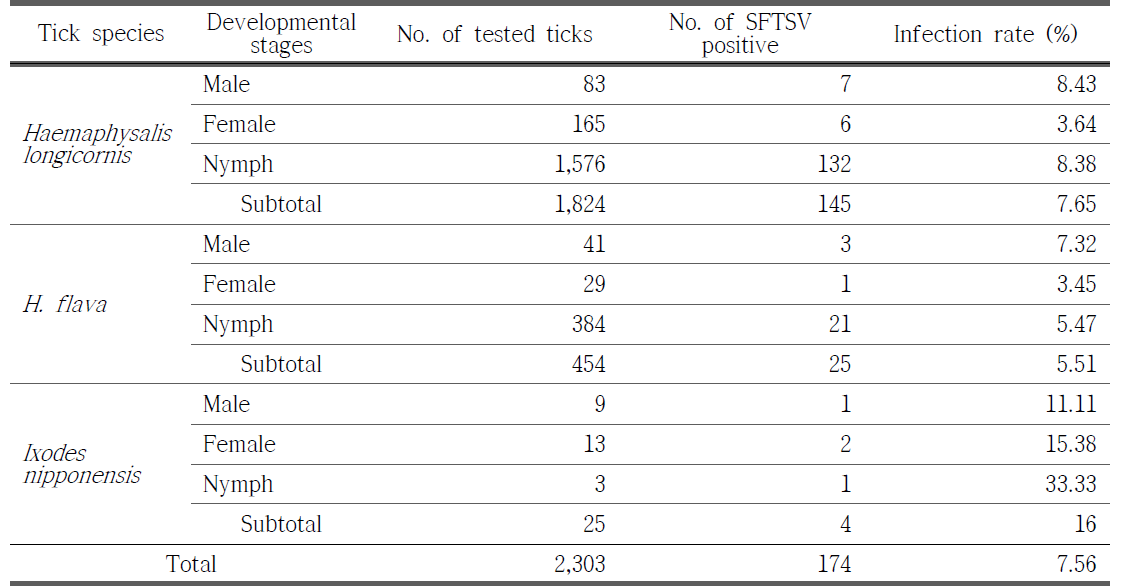 석모도에서 채집한 참진드기 성충과 약충의 종별 SFTSV 검출 결과