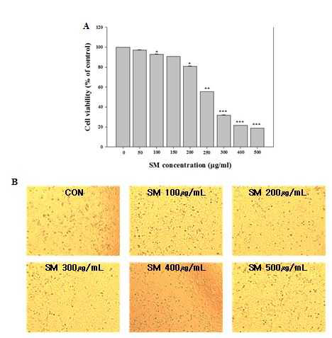 Cytotoxicity induced by sodium metabisulfite (SM) in human lung epithelial cells.