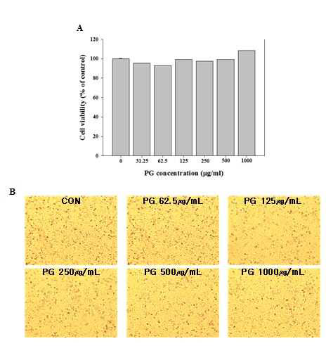 Cytotoxicity induced by propylene glycol (PG) in human lung epithelial cells.
