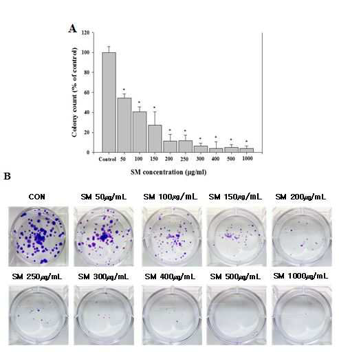 Inhibition of cell colony formation induced by sodium metabisulfite (SM) in human lung epithelial cells.