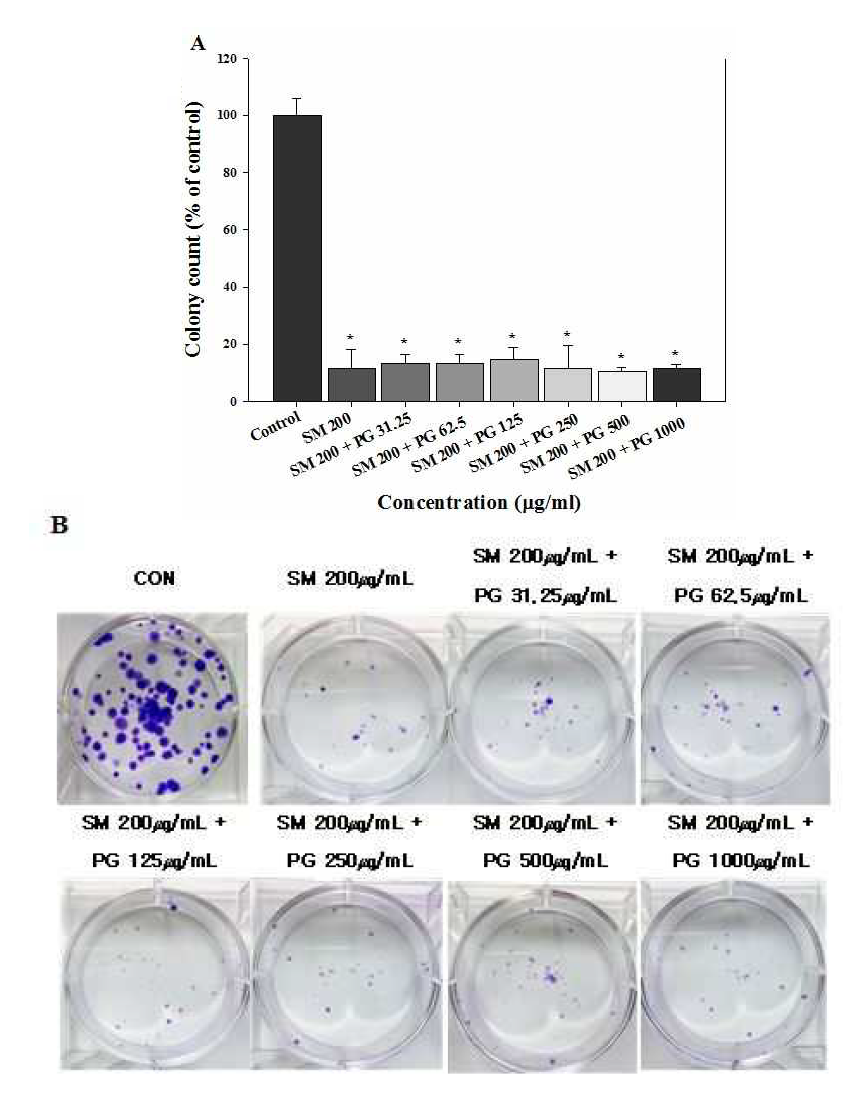 Inhibition of cell colony formation induced by the mixture of sodium metabisulfite (SM) and propylene glycol (PG) in human lung epithelial cells.