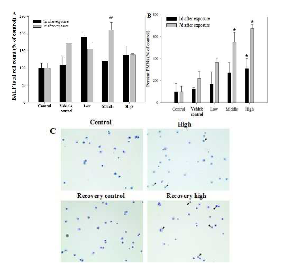 Pulmonary inflammation induced by repeated inhalation of the mixture of sodium metabisulfite (SM) and propylene glycol (PG) in rats.