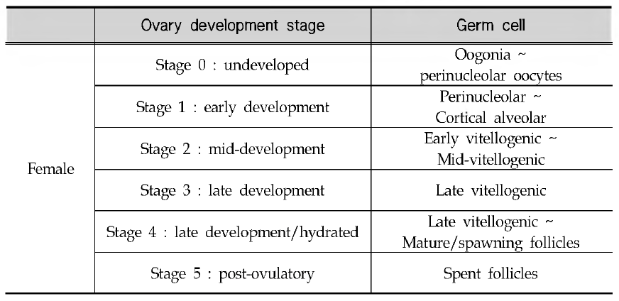 Criteria for ovary development stages of Oryzias latipes
