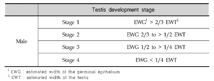 Criteria for testis development stages of Oryzias latipes