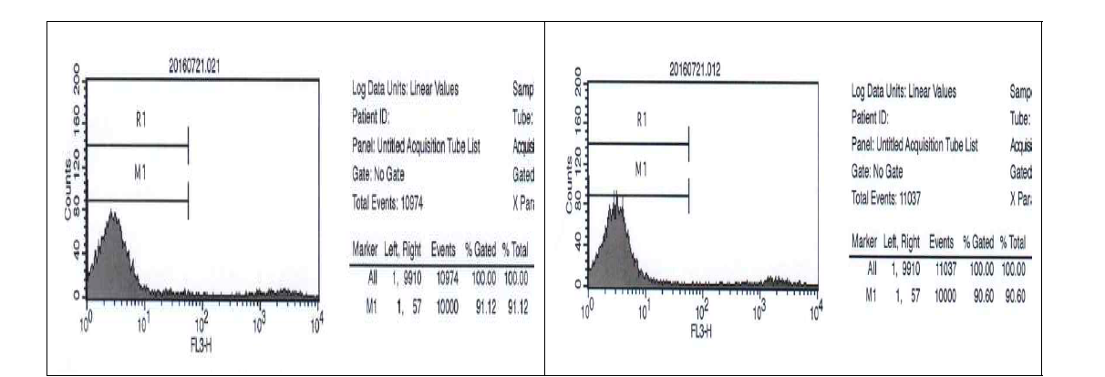용매 처리 THP-1 세포의 세포생존율 (좌: DMSO, 우: saline)