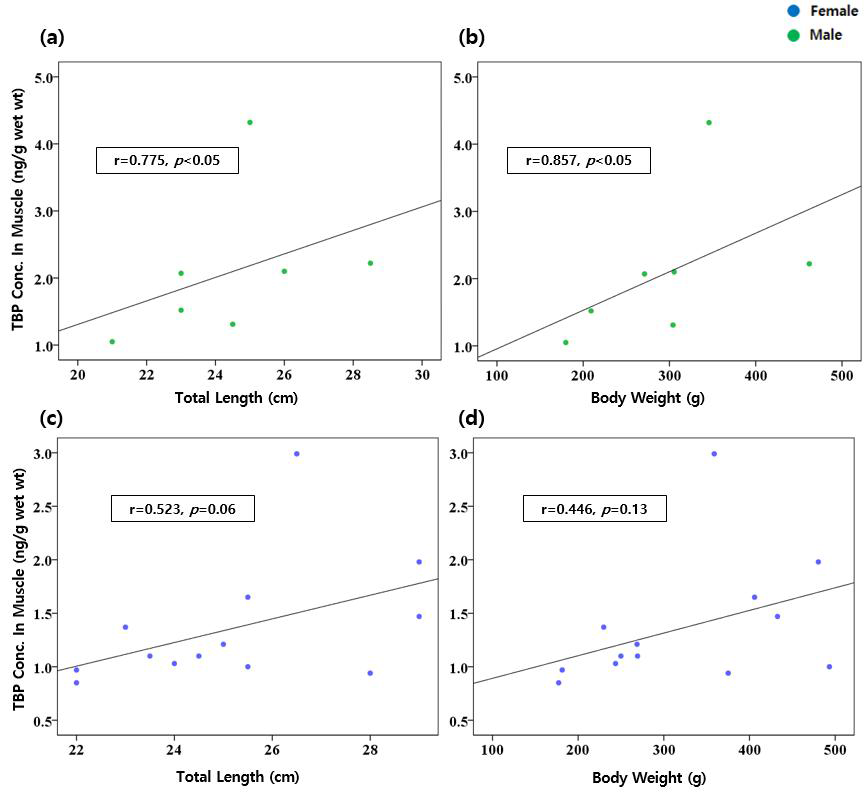 The correlation of total length and body weight vs TBP in muscle and comparison between male and female