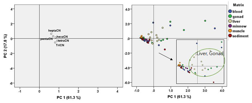 Principal component analysis of PCNs in sample