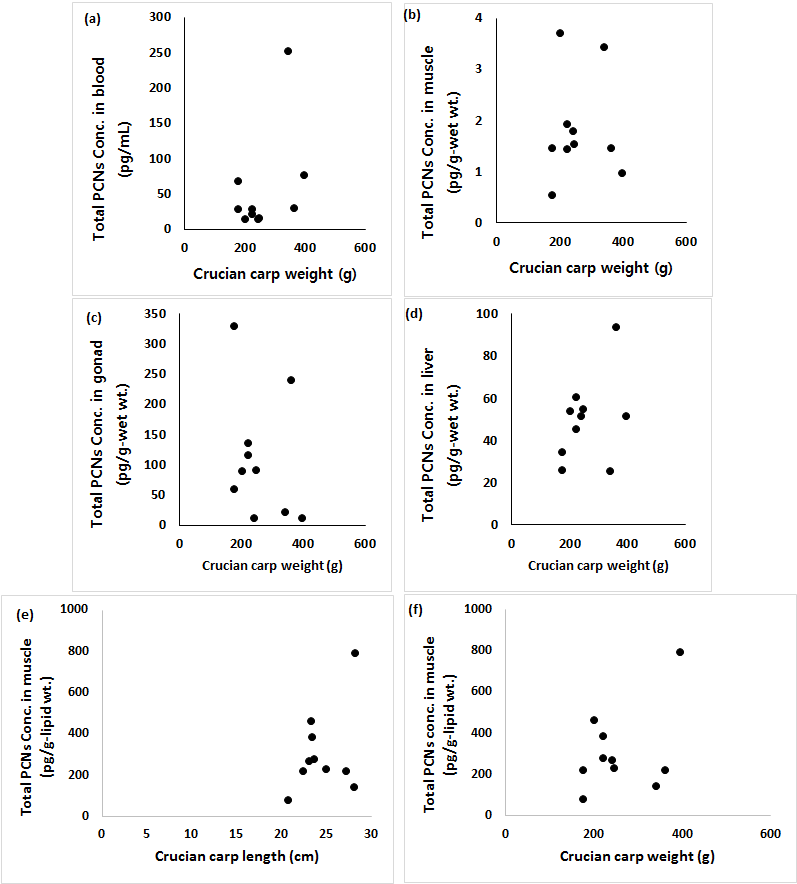 Correlation between length and body weight of crucian carp and PCNs concentration