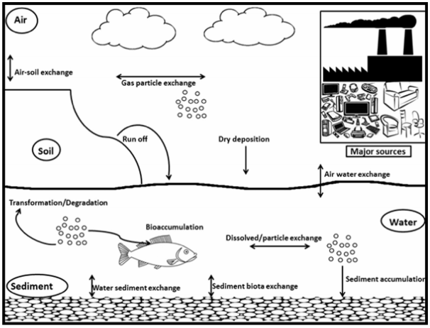 Transport and fate mechanisms of flame retardants in the freshwater ecosystem