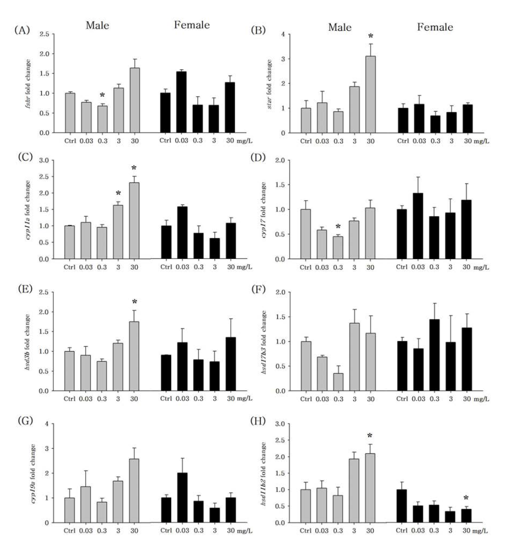 성체 O. latipes 에서 metformin 노출이 생식소의 유전자 전사 수준에 미치는 영향