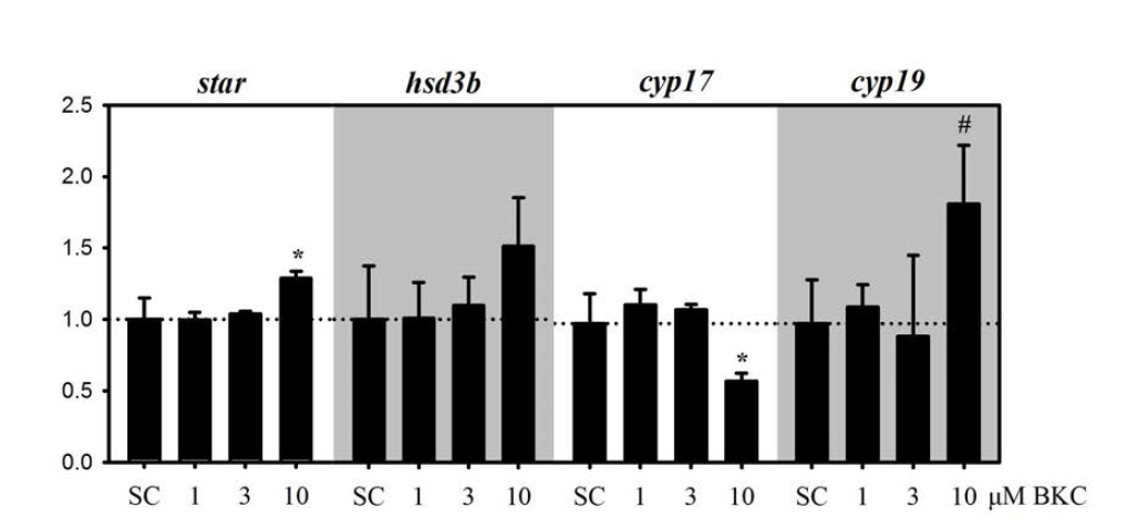 Benzalkonium chloride (BKC)에 노출된 H295R 세포의 성호르몬 합성 관여 유전자 전사 수준 변화.