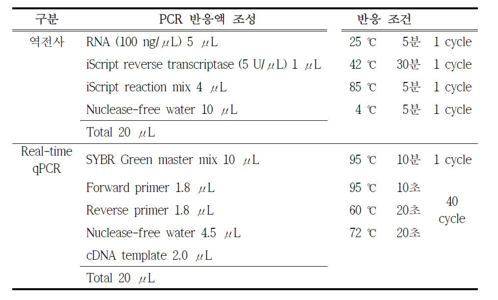 O. latipes 비텔로제닌 등의 유전자 발현 분석을 위한 역전사 및 real-time qPCR의 반응액 조성 및 반응 조건 예시