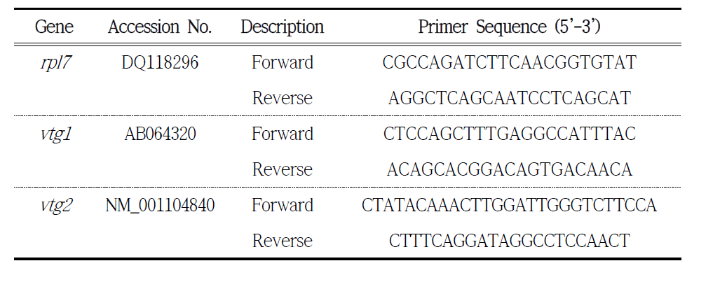 유전자 발현 분석을 위한 real-time PCR primer (O. latipes)