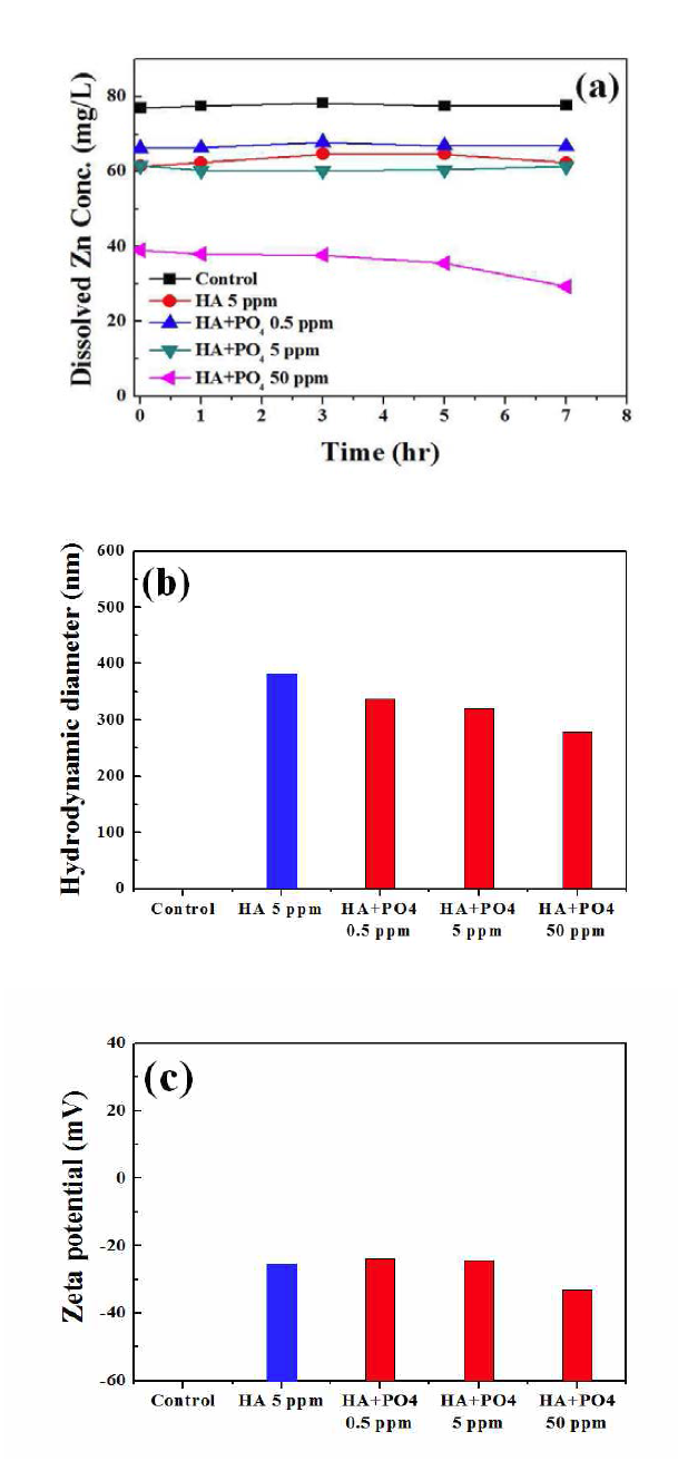 pH 6에서 phosphate 농도에 따른 ZnO NPs의 용해된 Zn 농도 (a), 입자크기 (b), zeta potential (c).