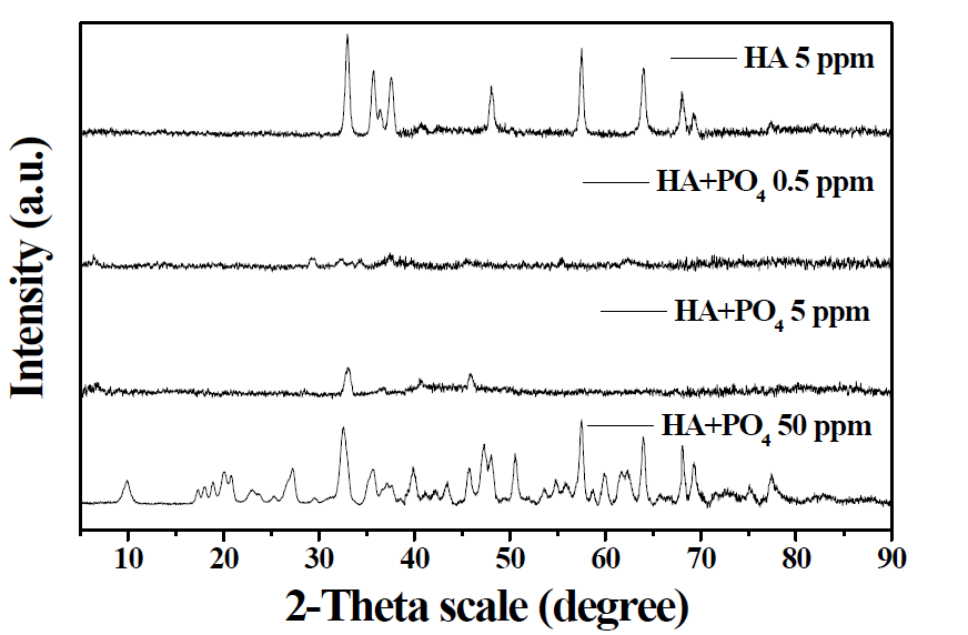 pH 6에서 phosphate 농도에 따른 변환된 ZnO NPs의 XRD 분석 결과.