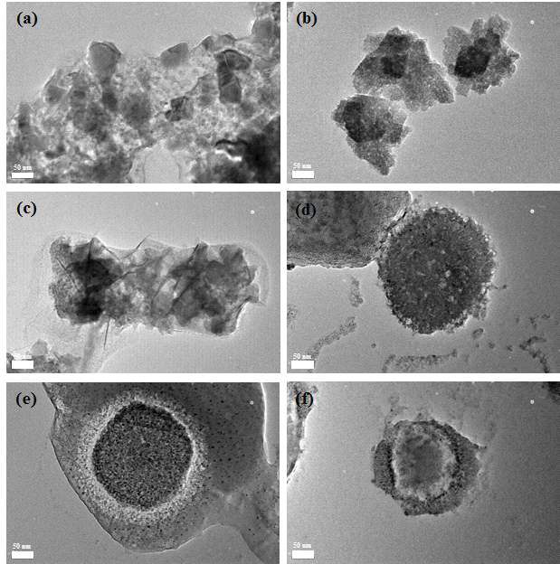 pH 6에서 sulfide 농도에 따른 ZnO NPs의 TEM 분석 결과 (Control (a), HA 5 mg/L (b), HA+Sulfide mg/L (c), HA+Sulfide 12 mg/L (d), HA+Sulfide 20 mg/L (e), HA+Sulfide 40 mg/L (f)).