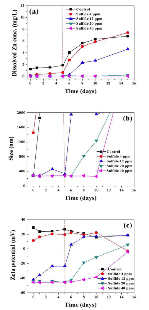 혐기성 조건에서 호기성 조건으로의 변화에 따른 ZnO NP의 변환 특성(용해된 Zn 이온 농도 (a), 입자크기 (b), zeta potential (c)). (빨강 점선: 산소 유입)