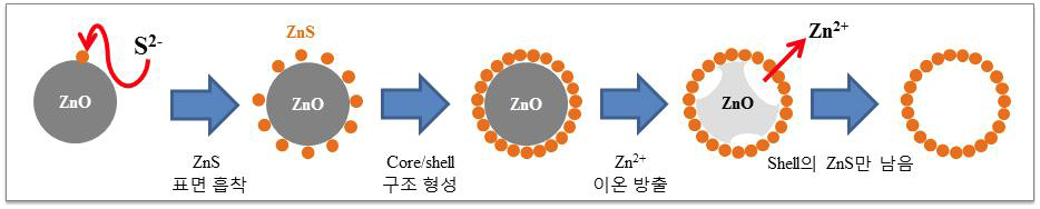 혐기성 환경에서 호기성 환경으로의 변환에 따른 ZnO NPs의 변환반응기작 모식도.