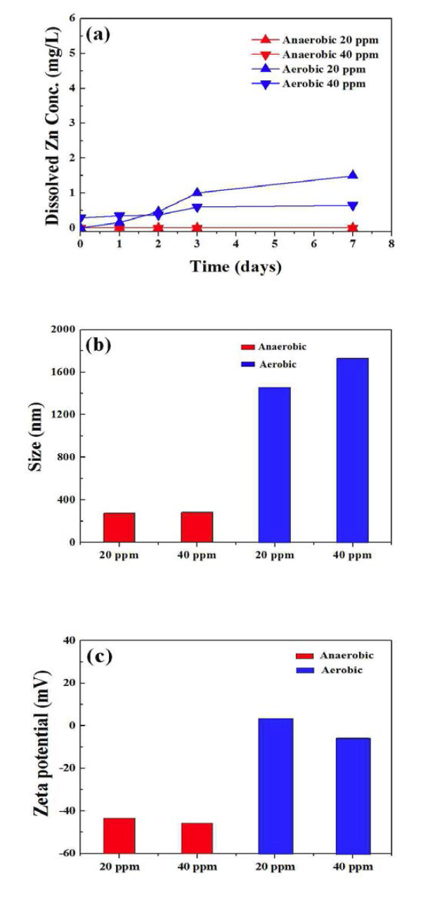 pH 8 혐기성 및 호기성 조건에서 ZnO NPs의 변환 특성(용해된 Zn 이온 농도 (a), 입자크기 (b), zeta potential (c)).