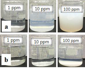 하천수에서 ZnO NPs 농도별 침전 변화(초기 상태(a)와 35일 후(b)).