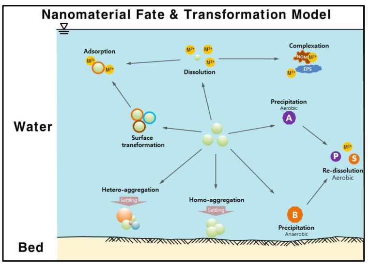 나노물질의 환경 내 거동 및 변환에 대한 거시적 모델 도식화.
