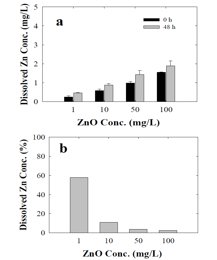 pH 8에서 80 nm ZnO NPs의 농도에 따른 용해된 Zn 농도(a)와 상대적인 용해 비율(b).