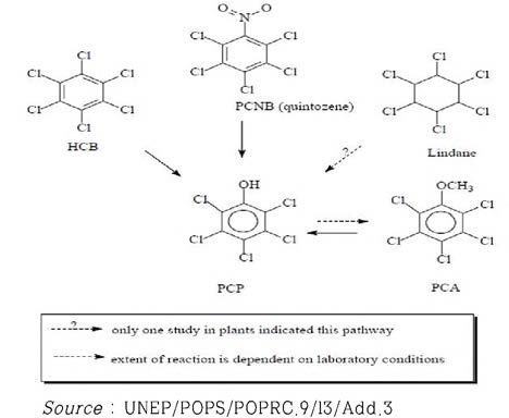 Examples o f sources o f PCP in the environment.