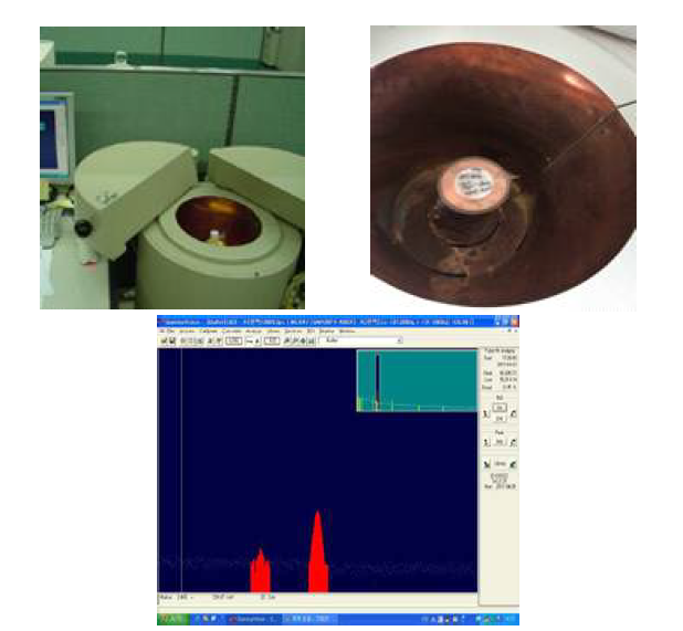 Composition of Gamma Spectrometer and Example of result.